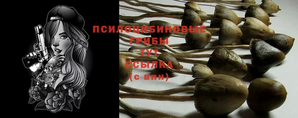 спиды Переславль-Залесский