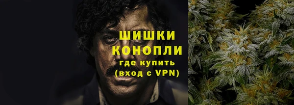 крисы Бронницы