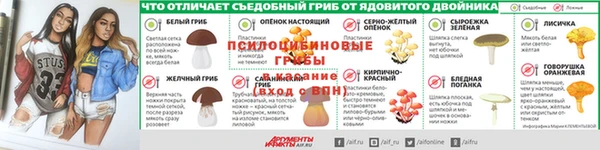 каннабис Богданович