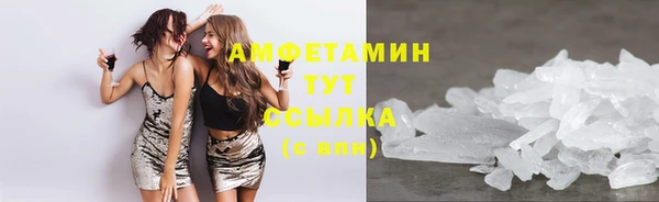 крисы Бронницы