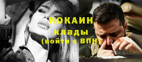 крисы Бронницы