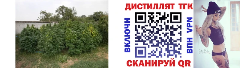 ТГК гашишное масло Чита