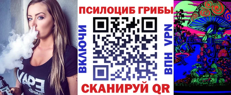Галлюциногенные грибы Cubensis  дарнет шоп  Чита 